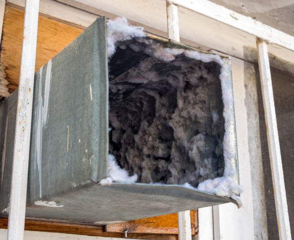Dirt debris and insects in your air ducts
